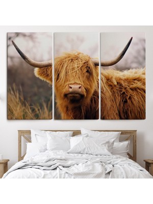 Dünyatablo Amerikan Yayla Ineği Kanvas Tablo ( Tek Parça )