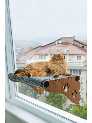 Ata Home Büyük Boy  Yeni Ahşap Cama Yapışan Kedi Yatağı Vantuzlu Cam Yatağı Terası