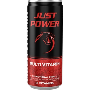 Just Power Multi Vitamin İçecek 250 ml x 12