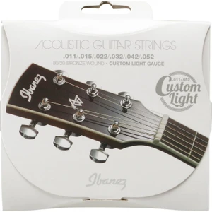 IACS62C Akustik Gitar Teli