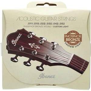 IACSP62C Akustik Gitar Teli