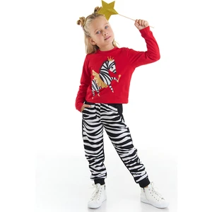 Balerin Zebra Kız Çocuk T-Shirt Pantolon Takım