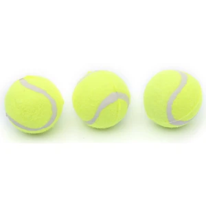 Tenis Topu Profesyonel Kalite 3'lü