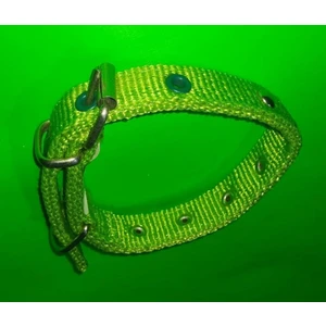 Atmaca Av 40 Cm X2cm Süslu Yavru Tasma Yeşil