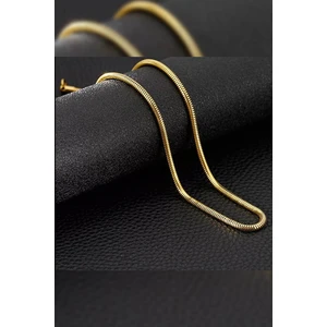 The Steel Paslanmaz Zincir Çelik Yılan Model Kolye Gold Snake Kolye