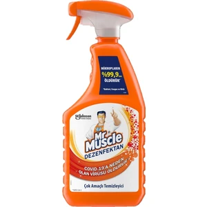 Mr. Muscle Dezenfektan Çok Amaçlı Temizleyici 750 ml