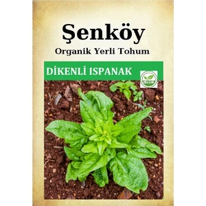 Yerli Dikenli Ispanak Tohumu Doğal Ata Dikenli  Ispanak Tohum 1 Pakette 25 gr 2500 Tohum