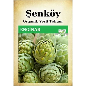 Yerli Erkenci Enginar Tohumu Doğal Ata Tohum Pakette 30 Tohum +Hediye Sebze Tohumu