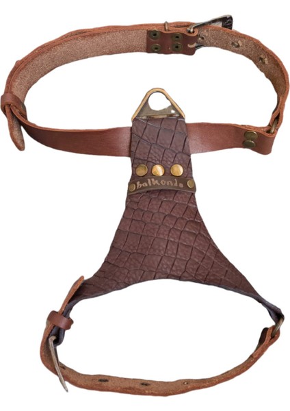 Köpek göğüs tasması hakiki deri küçük ırk kahverengi göğüs ölçüsü.:40-70 cm ayarlamalı boyun ölçüs:22-40cm dog harness GT1-10