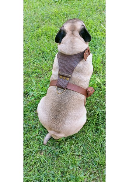 Köpek göğüs tasması hakiki deri küçük ırk kahverengi göğüs ölçüsü.:40-70 cm ayarlamalı boyun ölçüs:22-40cm dog harness GT1-10