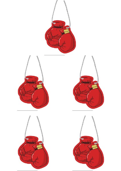 5'li Set Boks Eldiveni Araç Kokusu