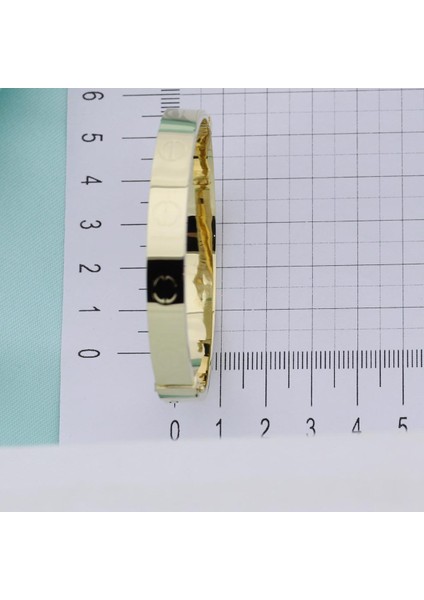 14 Ayar Altın Fantezi Kelepçe Bilezik fiyatları