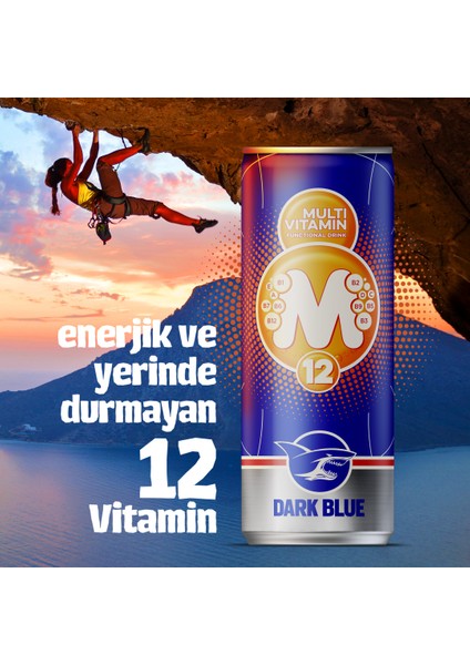 Dark Blue Multivitamin Enerji İçeceği, 250 ml (12'li Paket, 12 adet x 250 ml)