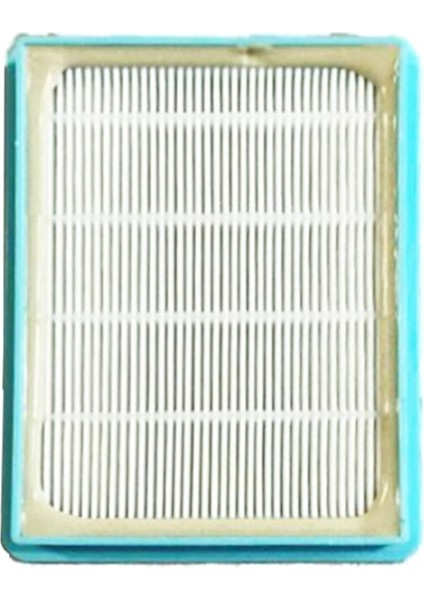 Fc 9751 Powerpro Çıkış Hepa Filtre