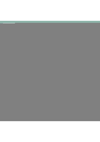 Fonksiyonel Puset ve Emzirme Örtüsü - Siyah fırsatları