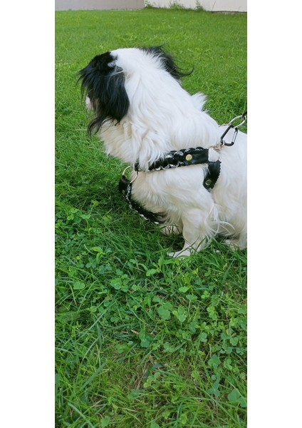 Köpek göğüs tasması küçük ırk paracort örgü göğüs ölçüsü:25-60cm ayarlamalı dog harness GT2-13