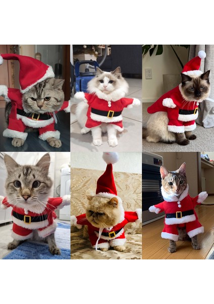 Evcil Köpek ve Kedi Tuhaf Noel Kıyafetleri (Yurt Dışından)