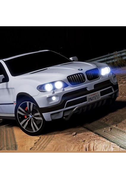Bmw X5 E53 Kasa (2000-2007) Xenon Ampul D2S 4600K