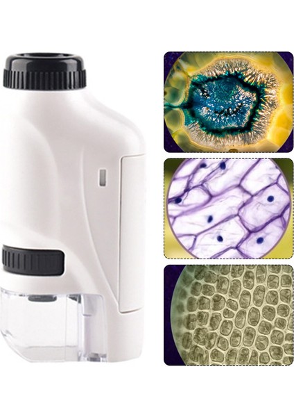 60-120X Laboratuvar Mikroskobu - Beyaz (Yurt Dışından) fırsatları