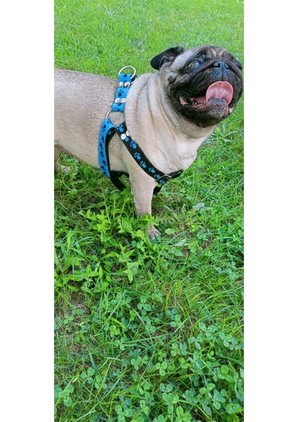 Köpek göğüs tasması orta ırk pati figürlü kordon kalınlık:3mm genişlik:2,5cm göğüs ölçüsü:40-75cm ayarlamalı dog harness GT3-20