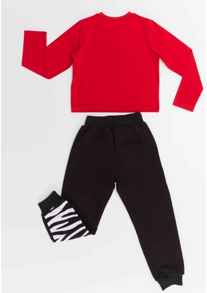 Balerin Zebra Kız Çocuk T-Shirt Pantolon Takım