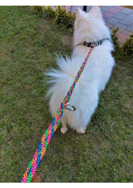 Köpek gezdirme tasması floş bağ örme renkli genişlik:2cm gezdirme kayışı:120cm dog leash B7-1 indirimleri