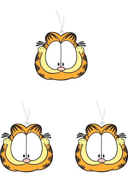 Jethızında 3'lü Set Özel Tasarım Garfield Oto Kokusu