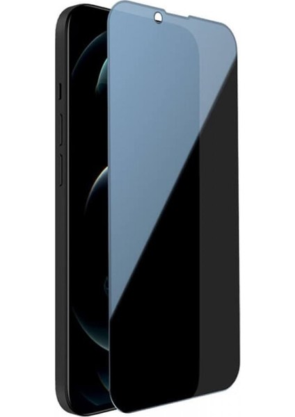 Apple iPhone 13 Mini Mat Nano Gizli Hayalet Ekran Koruyucu Yandan Gözükmez