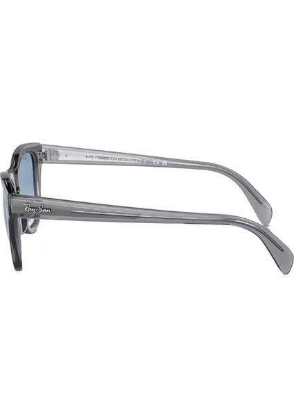 0707S 6641/3F 50 Wayfarer Unisex Gri Köşeli Çerçeve Güneş Gözlüğü