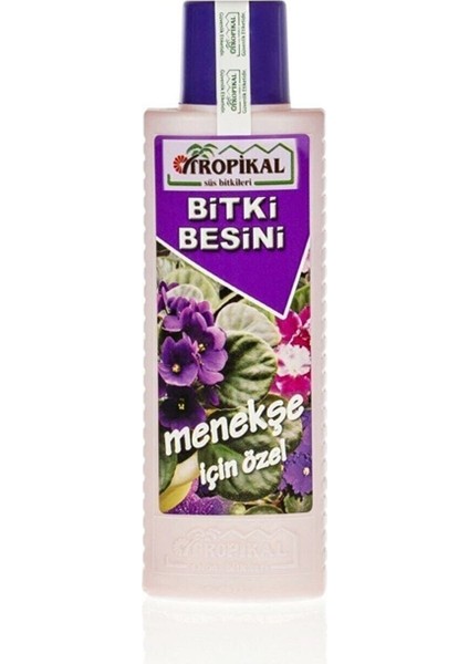 Tropikal Menekşe Bitki Besini