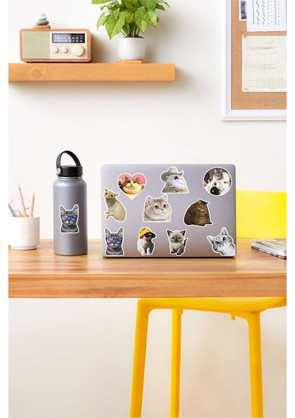 - Cats Temalı Laptop Notebook Tablet Sticker Set 1