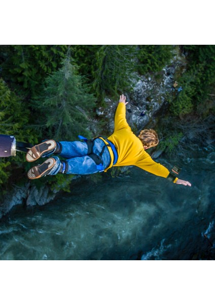 Bungee Bundle
