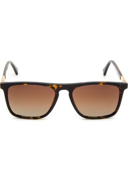 XC81050 05 Erkek Güneş Gözlüğü fiyatları