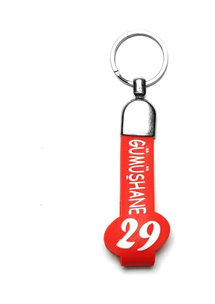 Slikon Saplı Şehir Plaka ANAHTARLIK-(GÜMÜŞHANE29)ANAH129