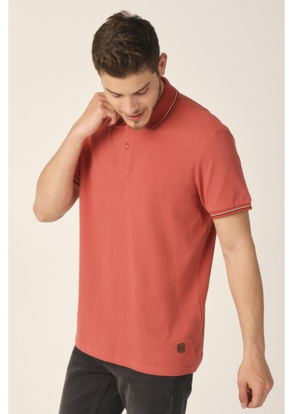 Regular Fit Polo Yaka T-Shirt (E21-8102) fırsatları
