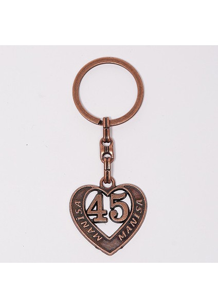 Manisa 45 ANAHTARLIK-ANAH560