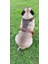 Köpek göğüs tasması hakiki deri küçük ırk kahverengi göğüs ölçüsü.:40-70 cm ayarlamalı boyun ölçüs:22-40cm dog harness GT1-10 2