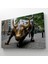 New York Boğa Heykeli Kanvas Tablo / Charging Bull ( Tek Parça ) 3