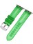 Apple Watch 42-44MM Krd-23 Transparent Yeşil K 1