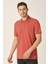 Regular Fit Polo Yaka T-Shirt (E21-8102) 1