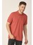 Regular Fit Polo Yaka T-Shirt (E21-8102) 3