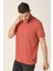 Regular Fit Polo Yaka T-Shirt (E21-8102) 4
