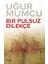 Bir Pulsuz Dilekçe 1