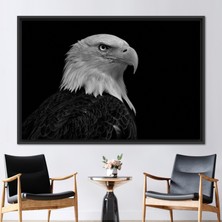 Kayra Export 1 Parça Siyah Çerçeveli Kanvas Tablo, Kartal Fotoğraf Baskısı, Eagle Kanvas, Hayvan Kanvas,