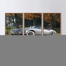 Kayra Export 3 Parçalı Naturel Çerçeveli Kanvas Tablo, Araba Lover Hediyesi Sanat, Vintage Araba Sanat,