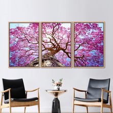 Kayra Export 3 Parçalı Naturel Çerçeveli Kanvas Tablo Sonbahar Duvar Süsü Doğa Manzarası Hediye Kanvas