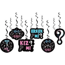 Çıtı Pıtı Store Cinsiyet Partisi 6'lı Asma Tavan Süsü