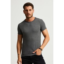 Alexander Gardi Slim Fit Likralı T-Shirt (E22-746A)