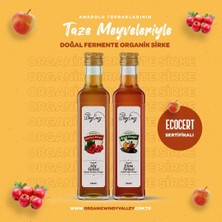 Organic Windy Valley Organik Alıç Sirkesi Katkısız Doğal Fermente (500ml)