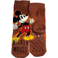 Çimpa Mickey Figürlü Havlu Çorap -